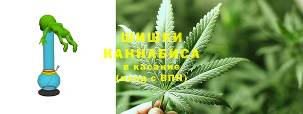 ГАЛЛЮЦИНОГЕННЫЕ ГРИБЫ Алексеевка