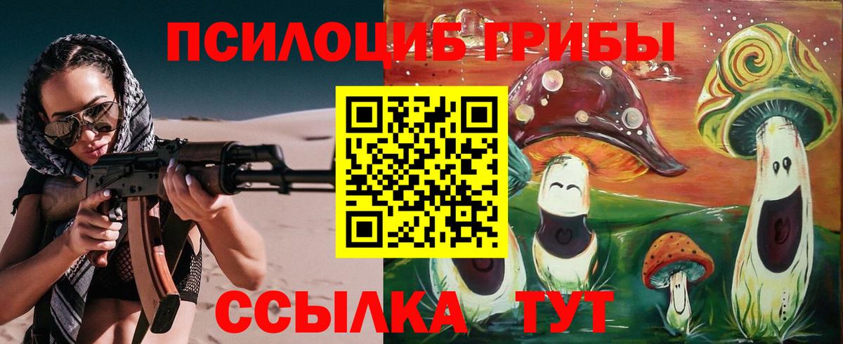 Ревда  Псилоцибиновые грибы Cubensis  Вход с VPN 
